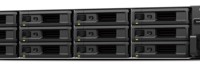 Synology SA3410
