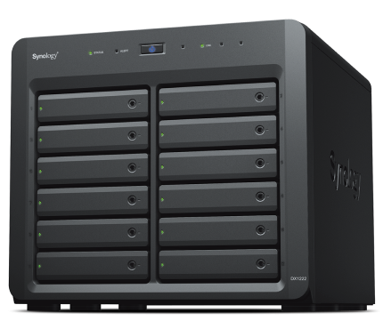 Synology DX1222