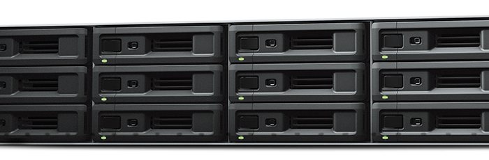 Synology RXD1219sas