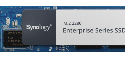 Synology SNV5420-800G